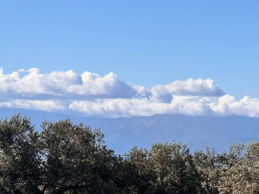 buildable plot of land of 5,500 sq.m.