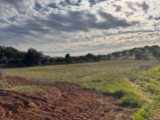 buildable plot of land of 3,000 sq.m.