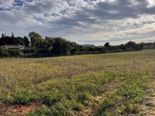 buildable plot of land of 3,000 sq.m.