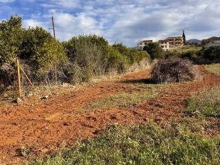 buildable plot of land of 3,000 sq.m.