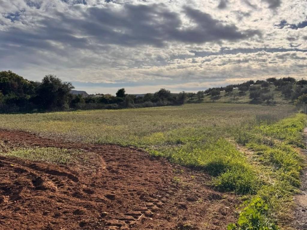 buildable plot of land of 3,000 sq.m.