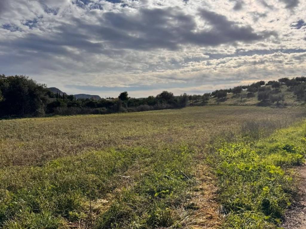 buildable plot of land of 3,000 sq.m.