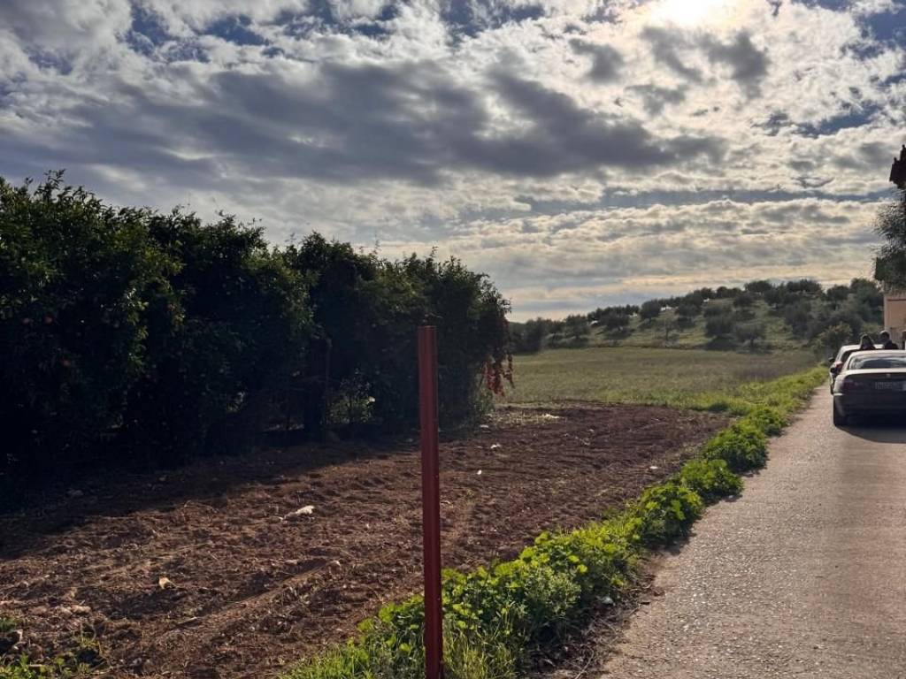 buildable plot of land of 3,000 sq.m.