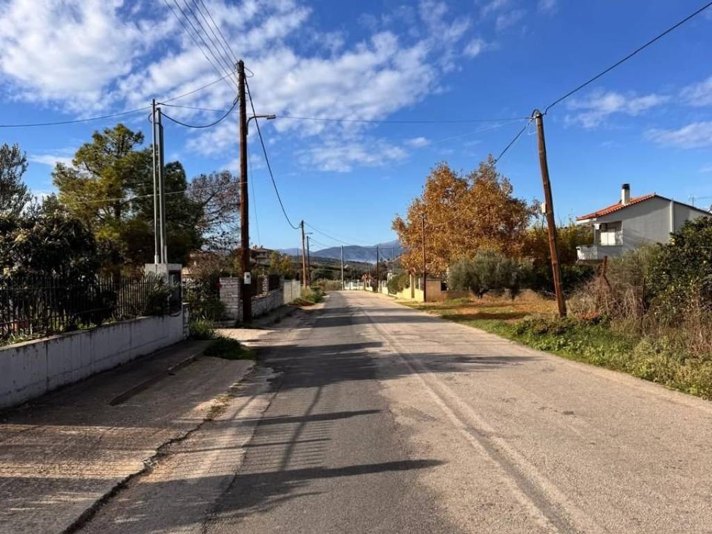 buildable plot of land of 3,000 sq.m.