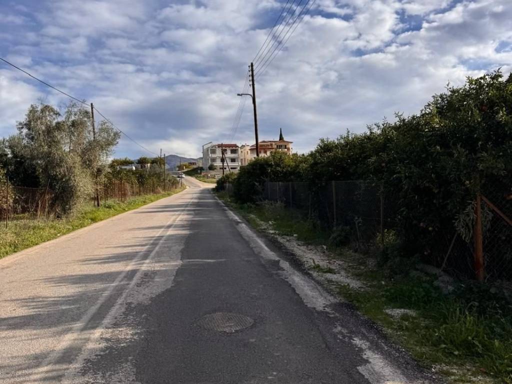 buildable plot of land of 3,000 sq.m.