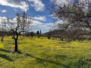 buildable plot of land of 5,500 sq m