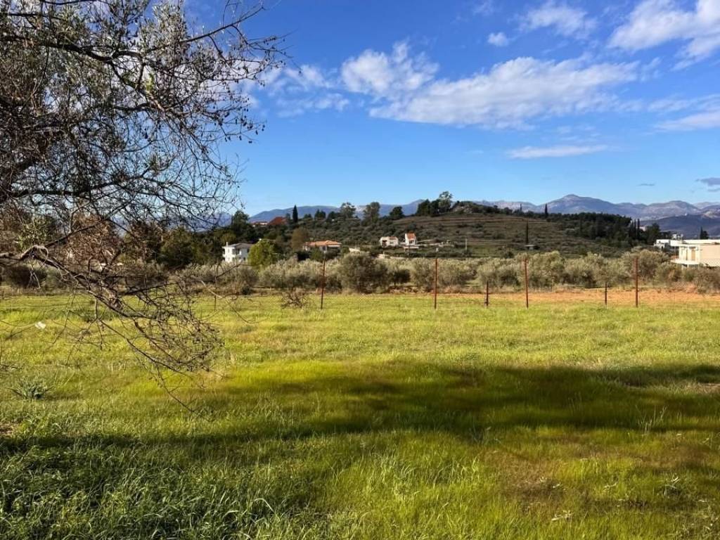 buildable plot of land of 5,500 sq m