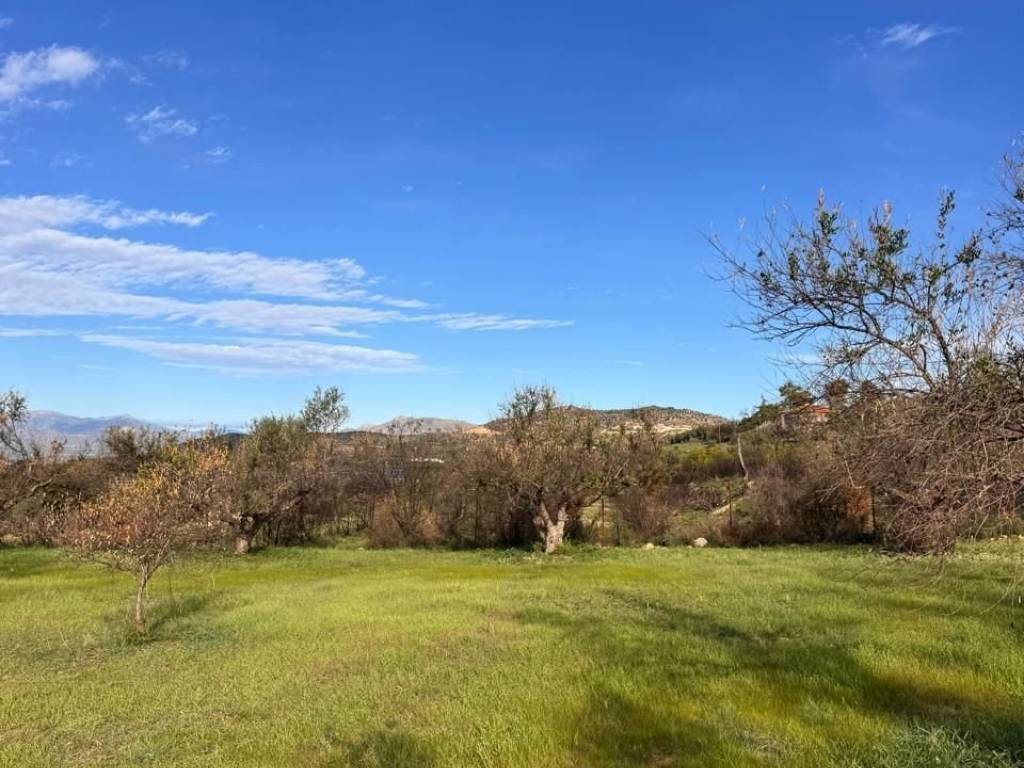 buildable plot of land of 5,500 sq m