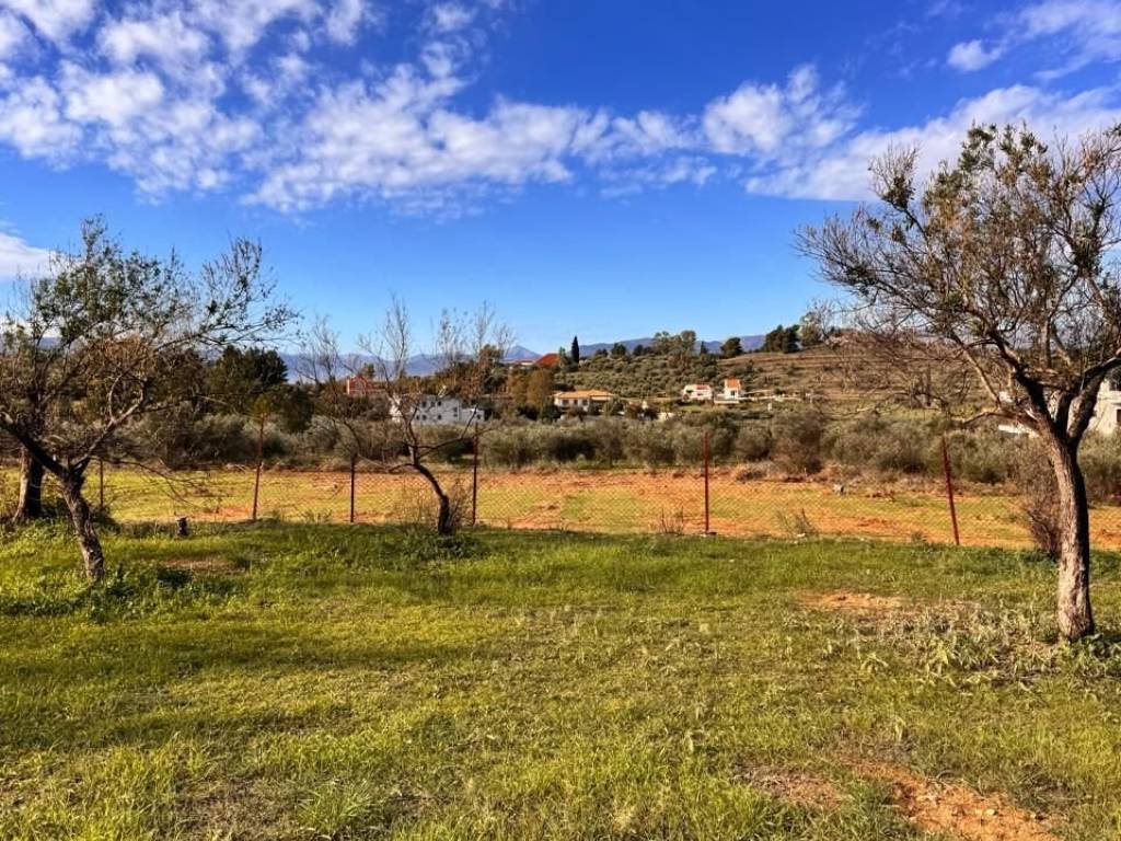 buildable plot of land of 5,500 sq m