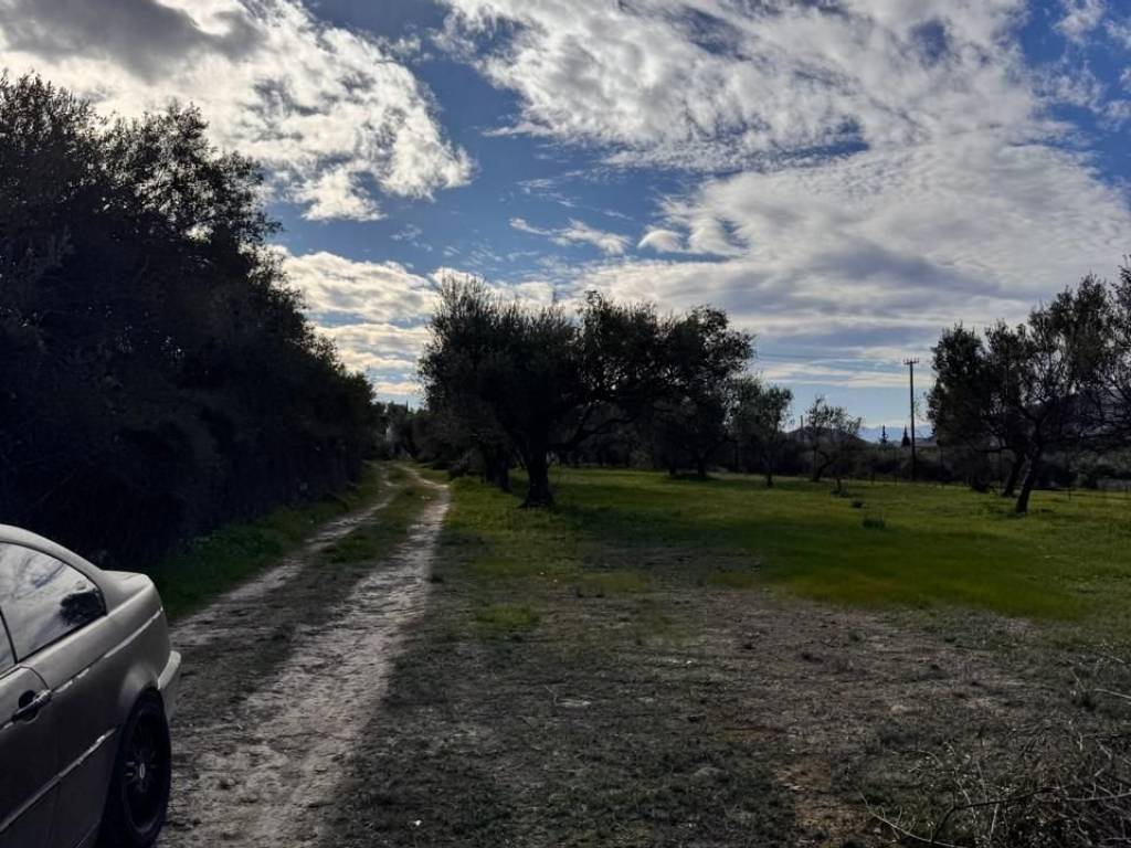 buildable plot of land of 5,500 sq m