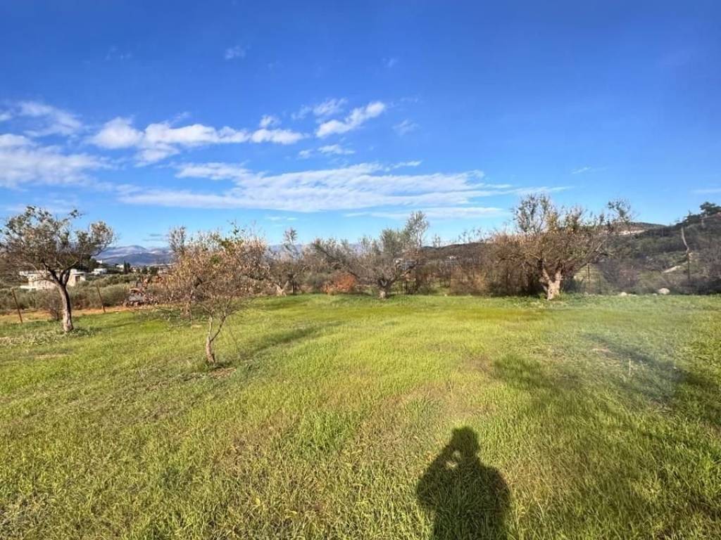 buildable plot of land of 5,500 sq m