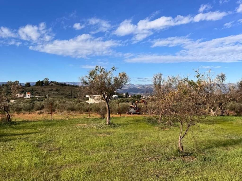 buildable plot of land of 5,500 sq m