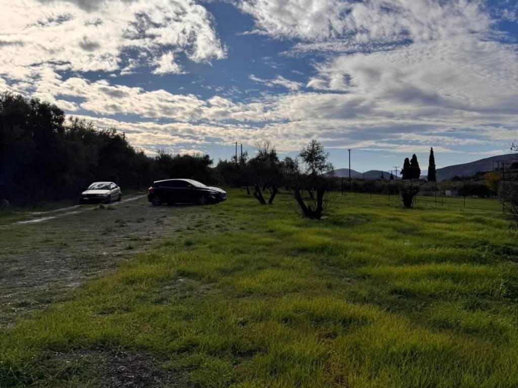 buildable plot of land of 5,500 sq m