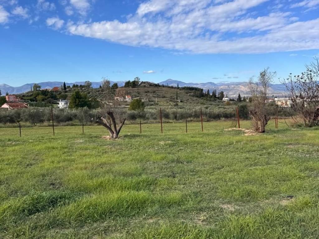 buildable plot of land of 5,500 sq m