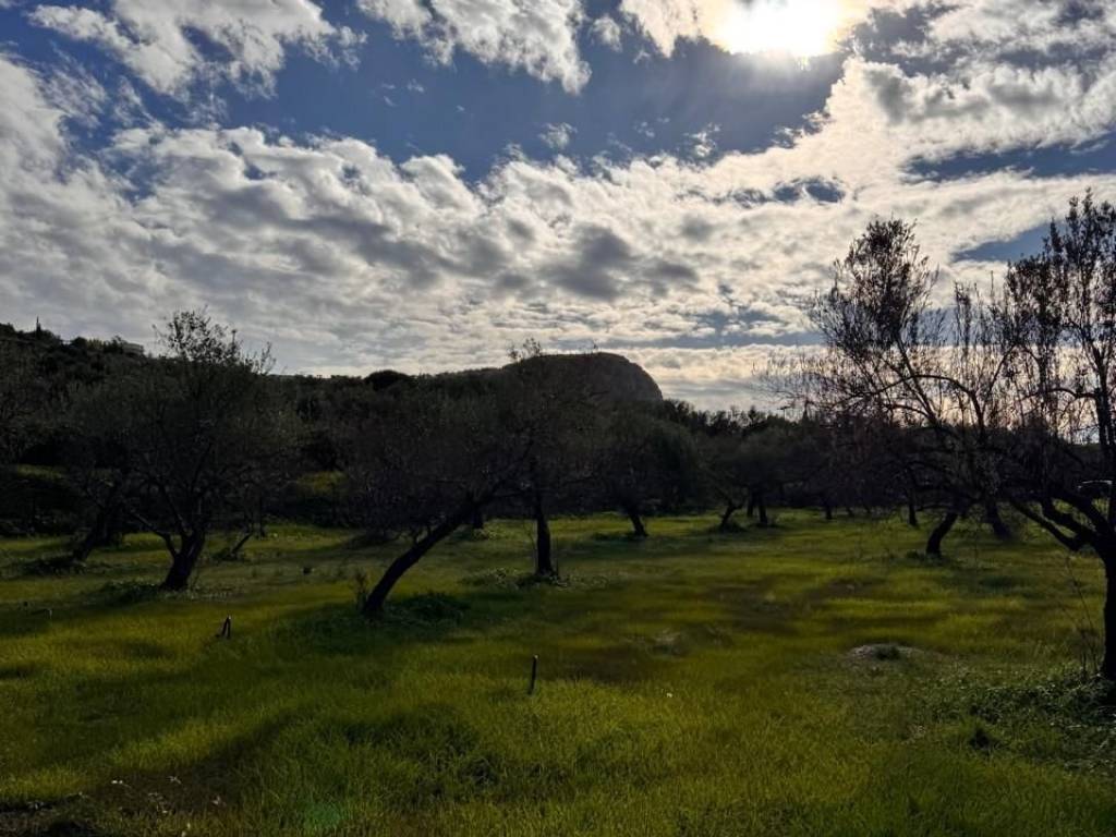 buildable plot of land of 5,500 sq m