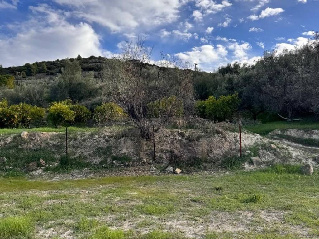 buildable plot of land of 5,500 sq m