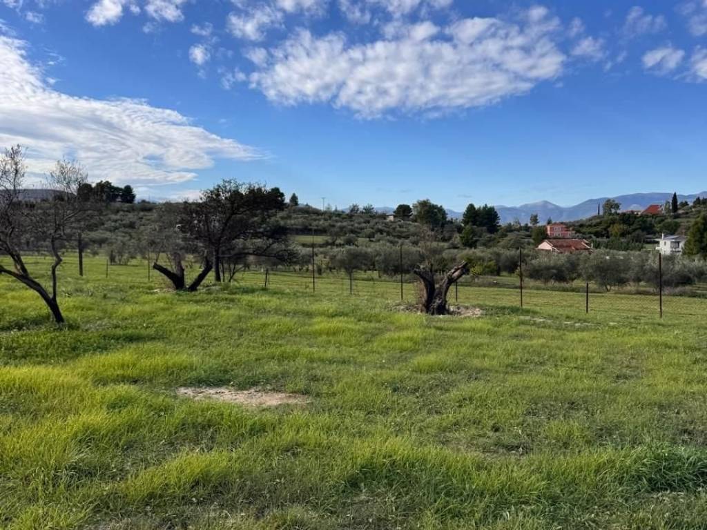 buildable plot of land of 5,500 sq m