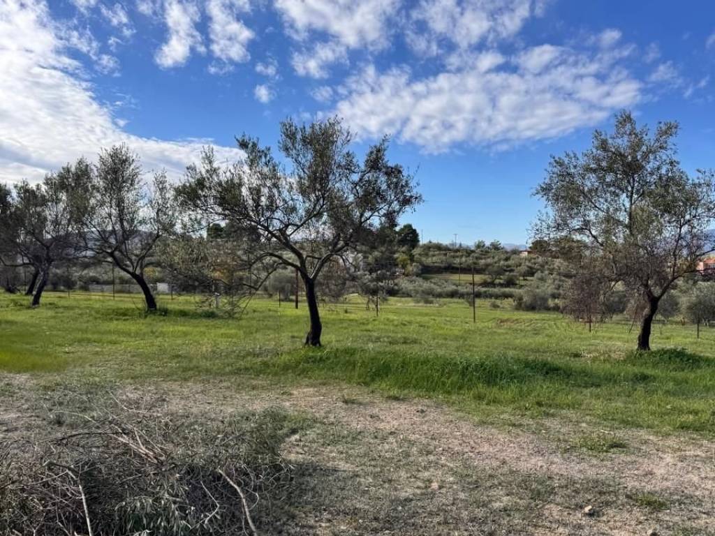 buildable plot of land of 5,500 sq m