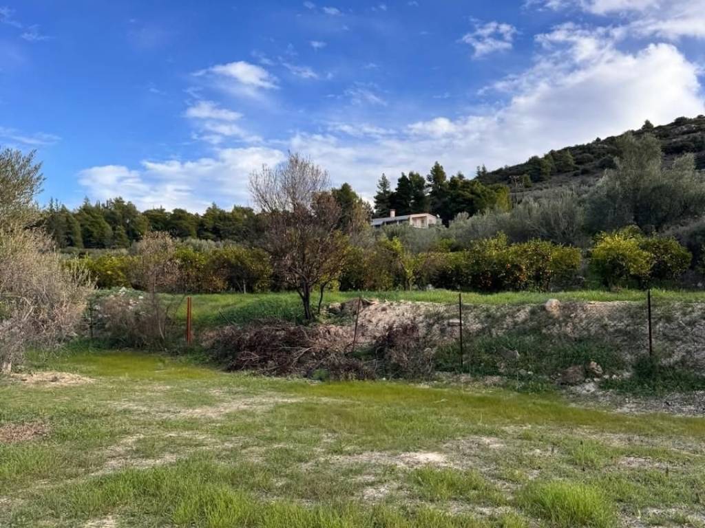 buildable plot of land of 5,500 sq m