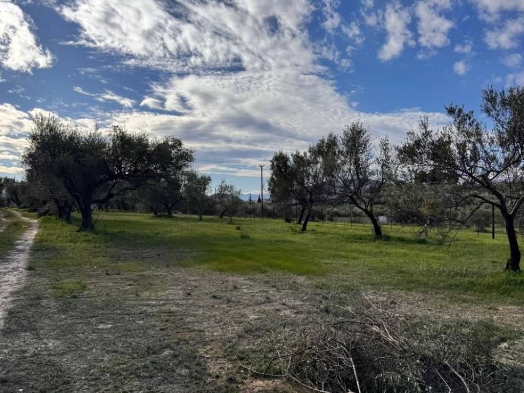 buildable plot of land of 5,500 sq m