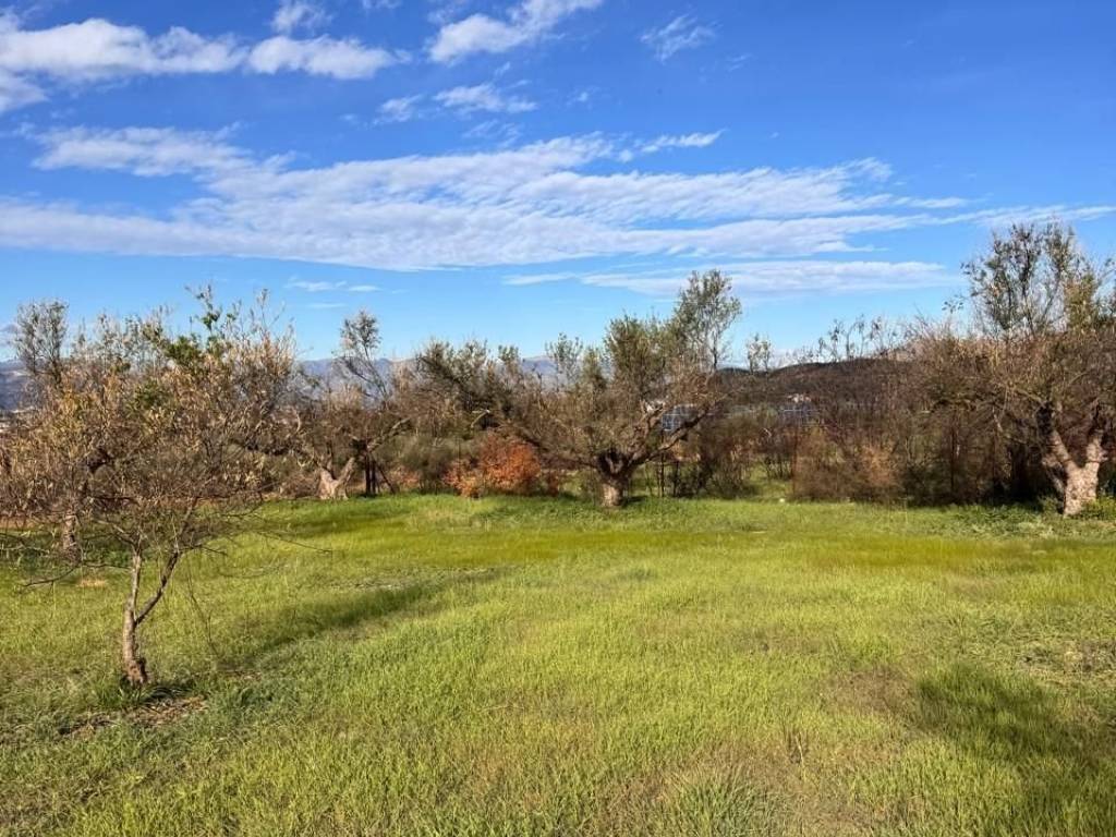 buildable plot of land of 5,500 sq m