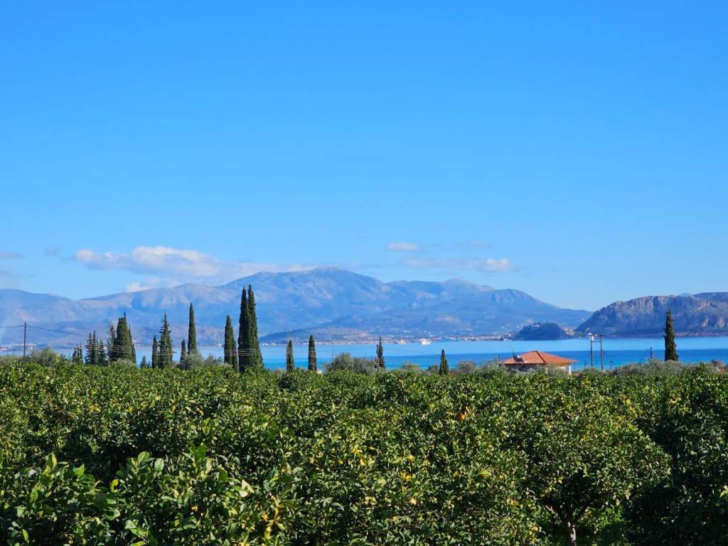 buildable plot of land of 200 acres