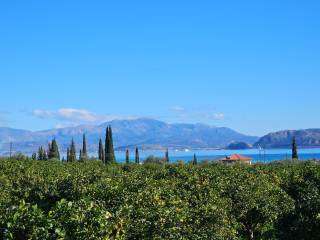 buildable plot of land of 200 acres