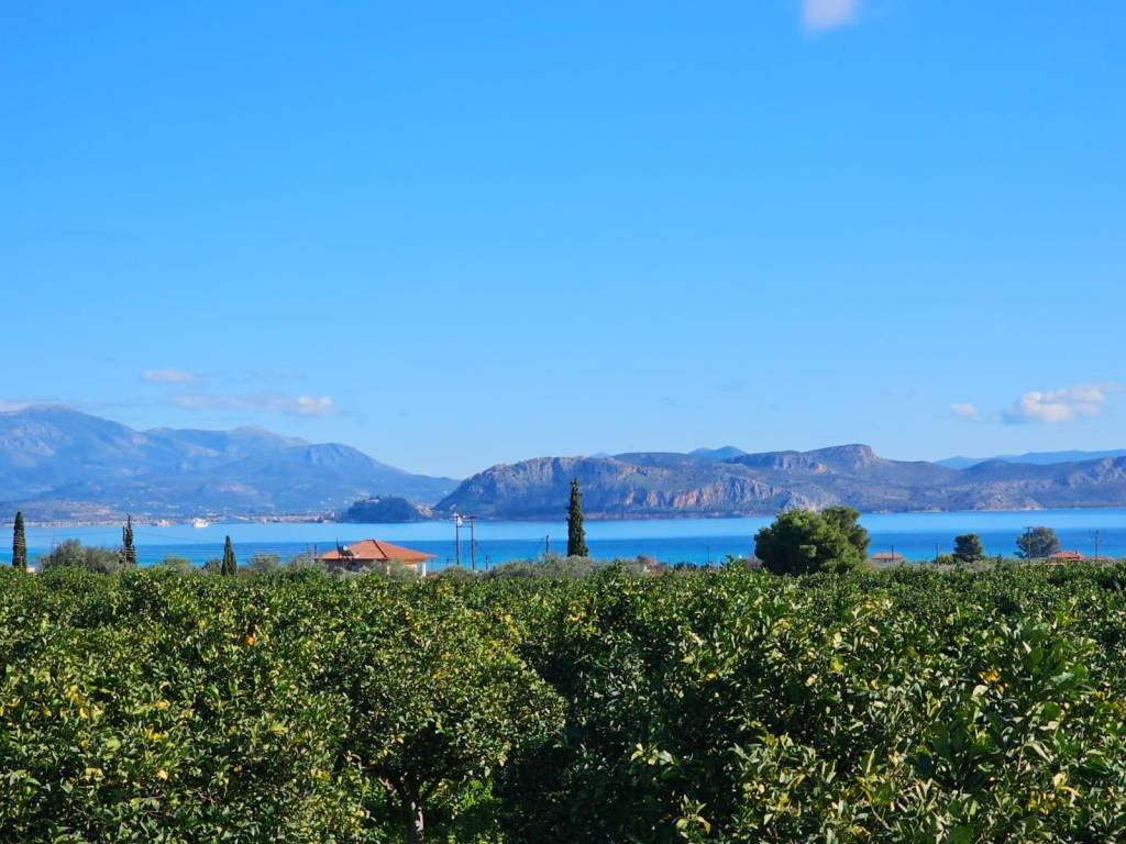 buildable plot of land of 200 acres