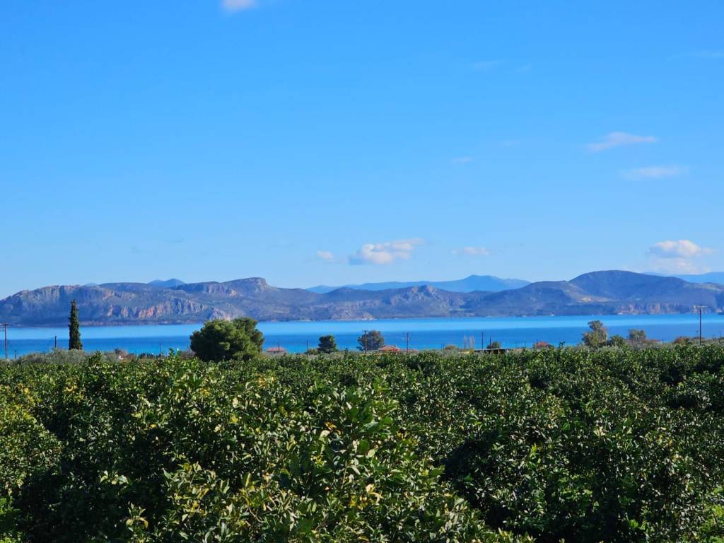 buildable plot of land of 200 acres