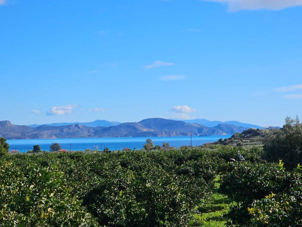 buildable plot of land of 200 acres