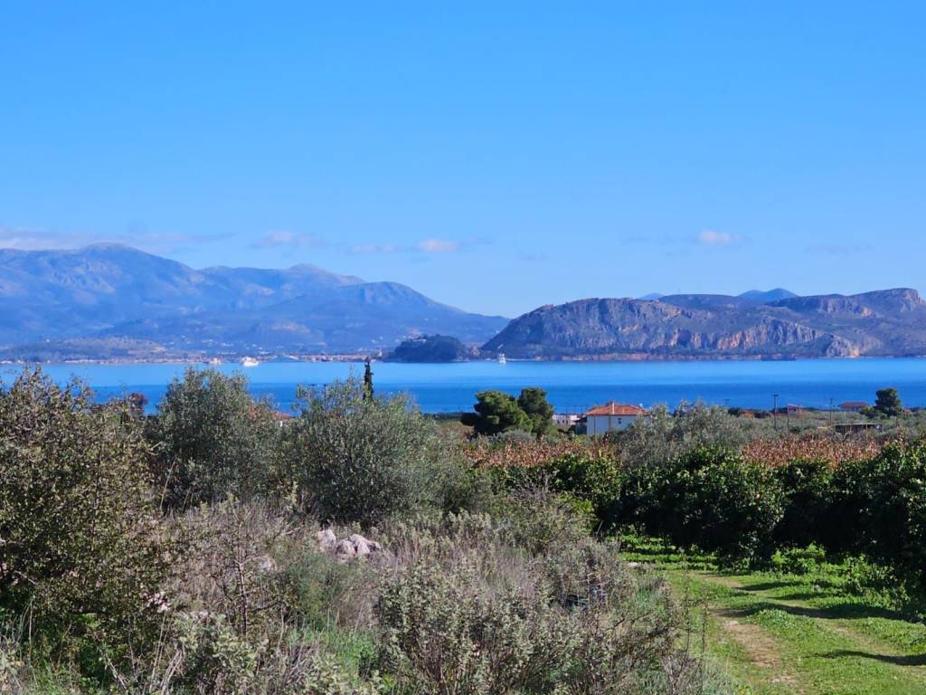 buildable plot of land of 200 acres