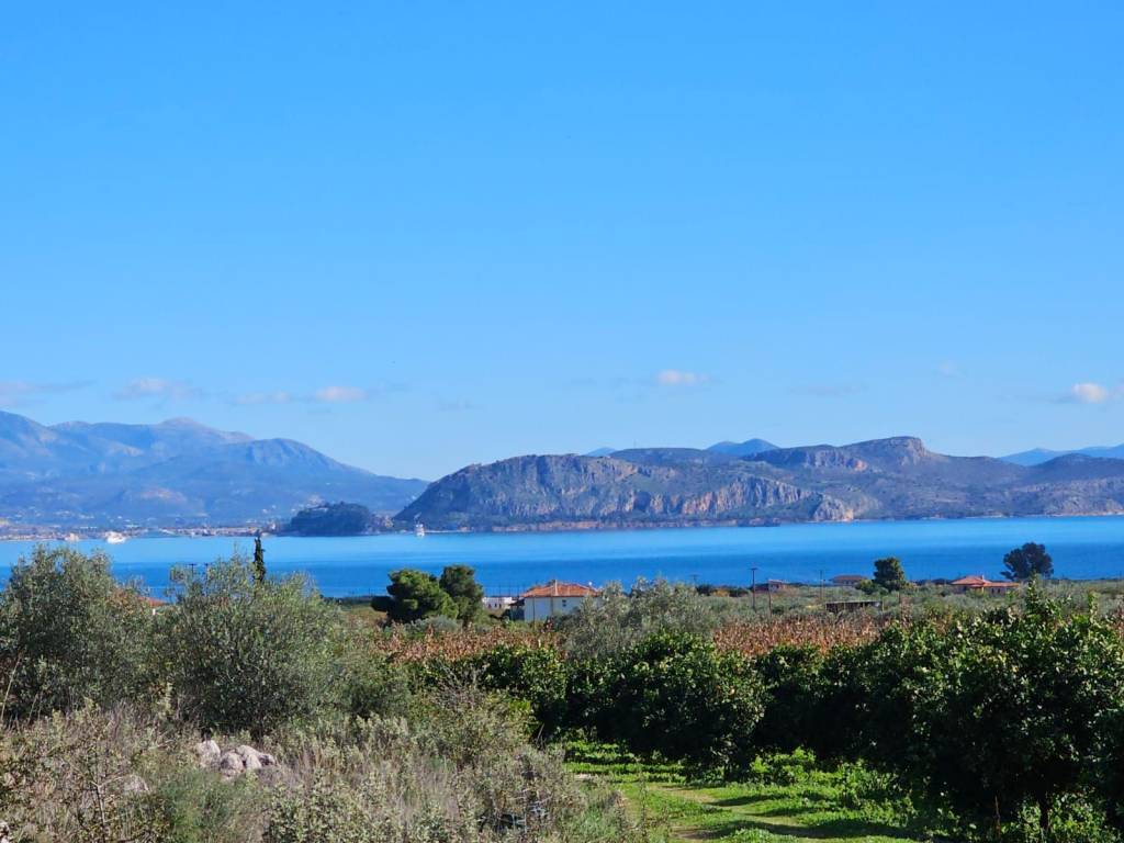 buildable plot of land of 200 acres