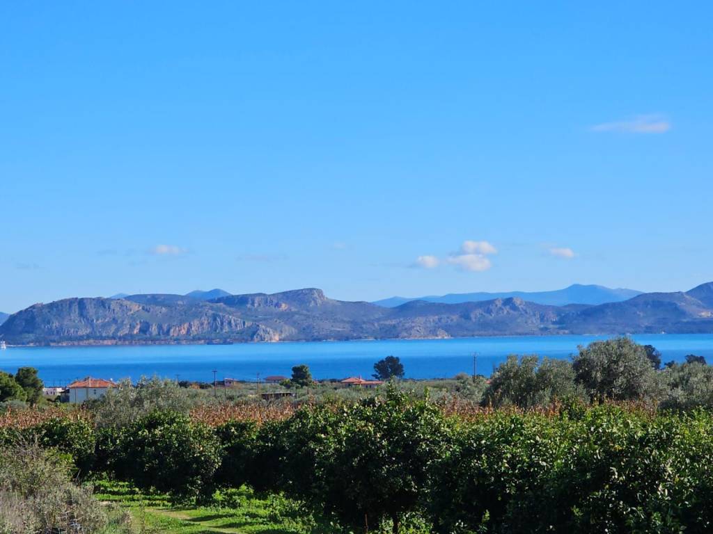 buildable plot of land of 200 acres