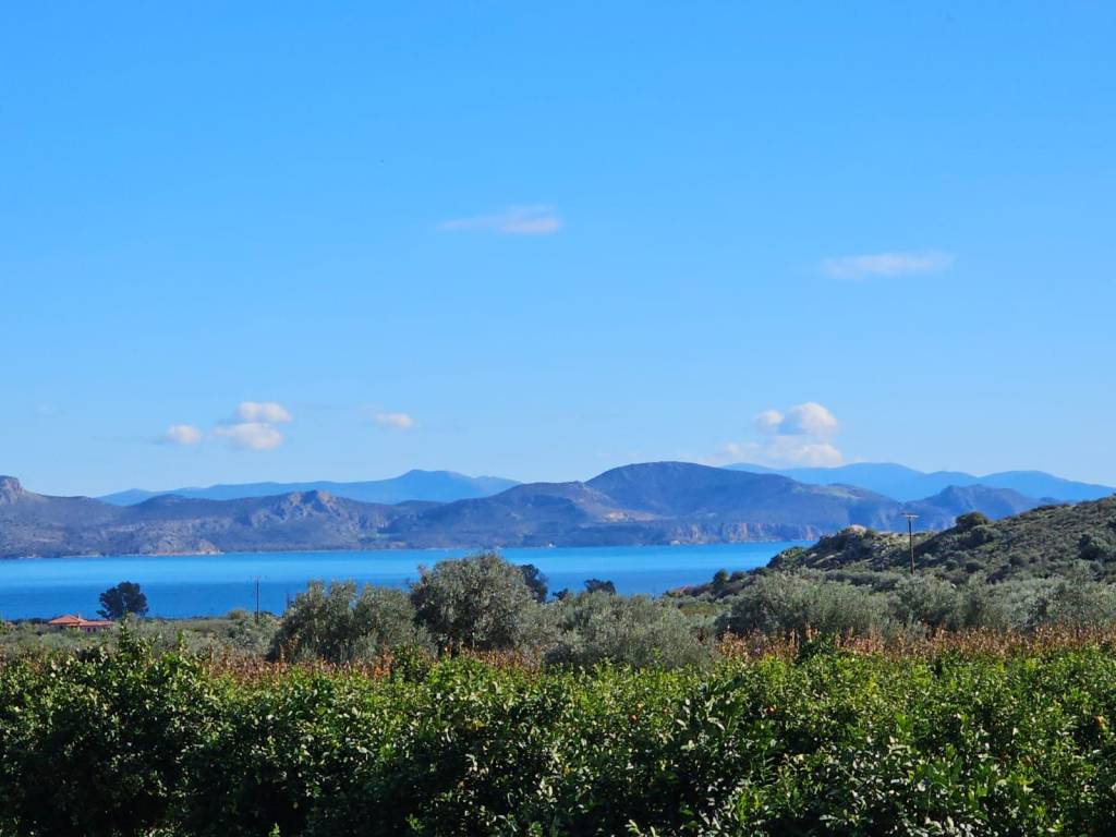 buildable plot of land of 200 acres