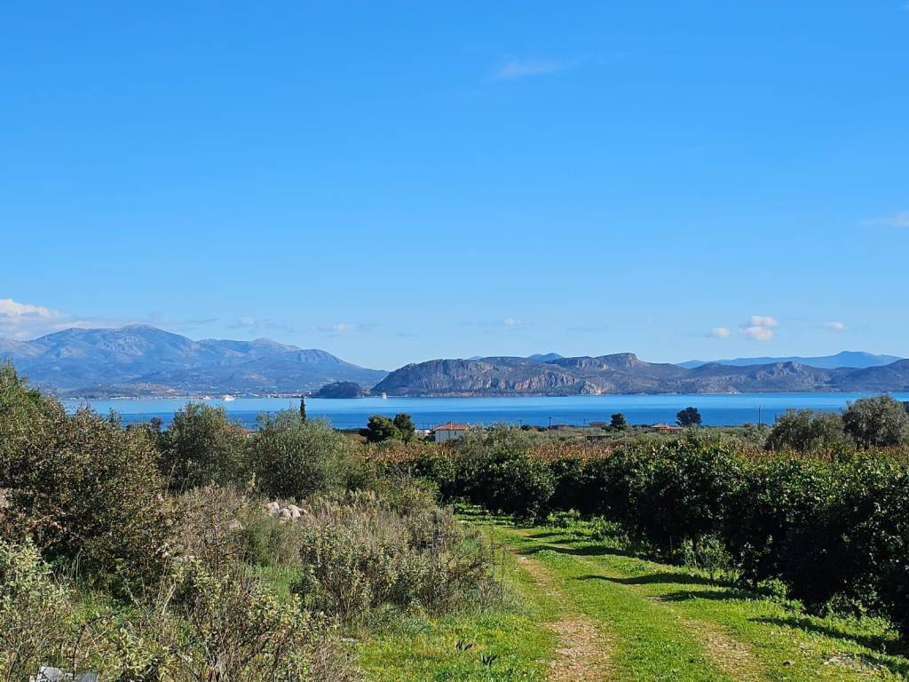 buildable plot of land of 200 acres