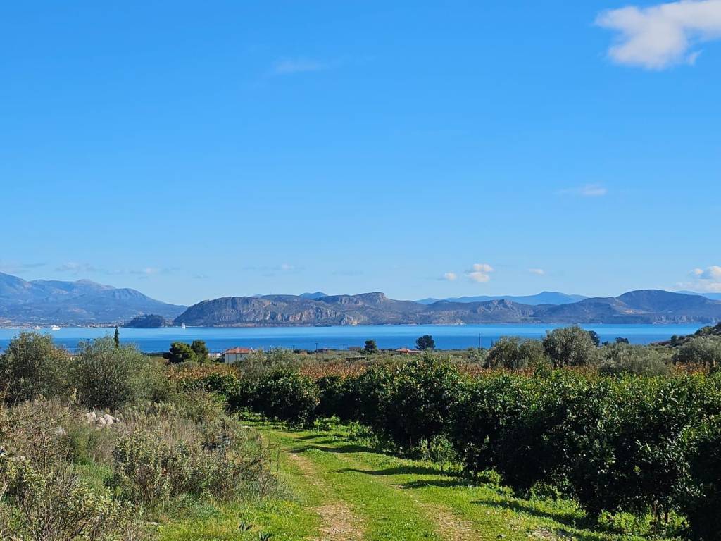 buildable plot of land of 200 acres