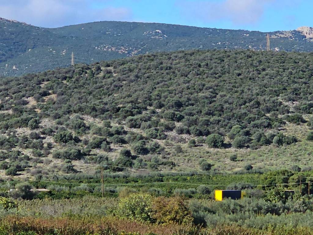 buildable plot of land of 200 acres