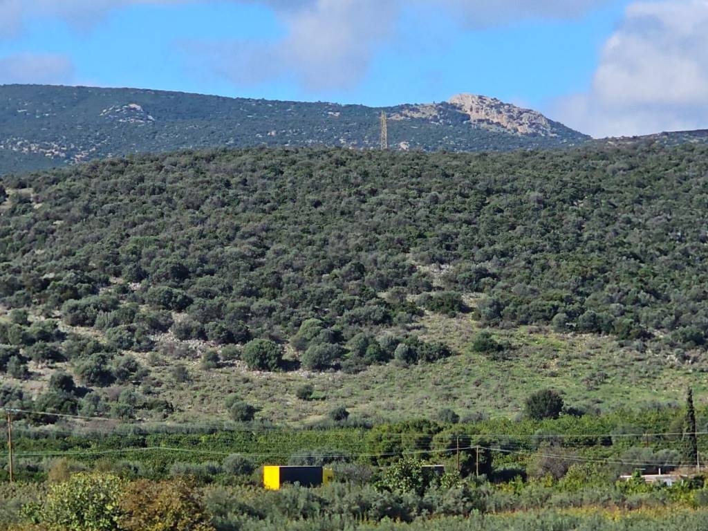 buildable plot of land of 200 acres