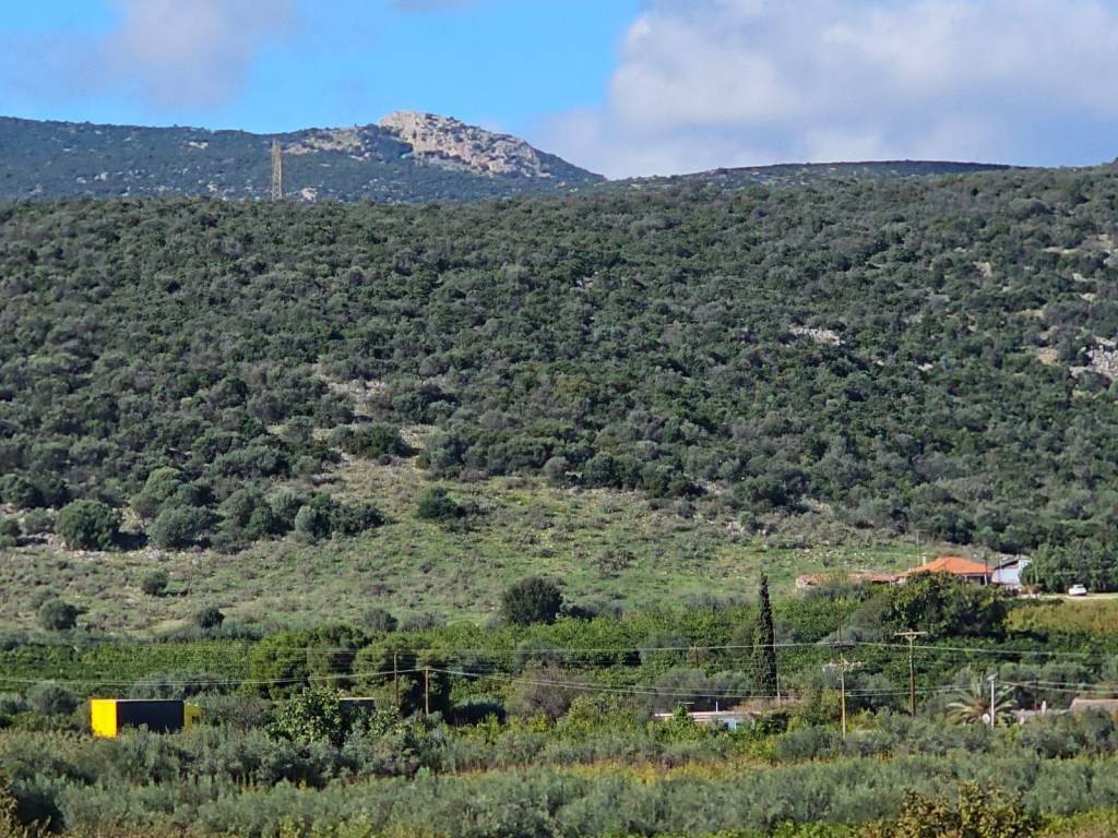 buildable plot of land of 200 acres