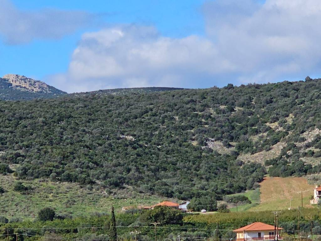 buildable plot of land of 200 acres