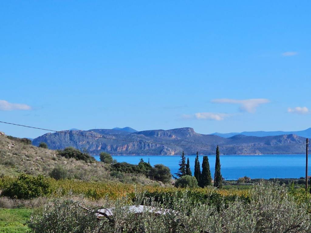 buildable plot of land of 200 acres