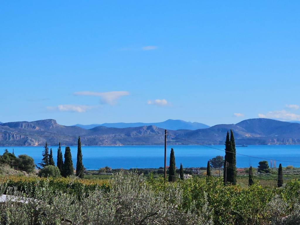 buildable plot of land of 200 acres