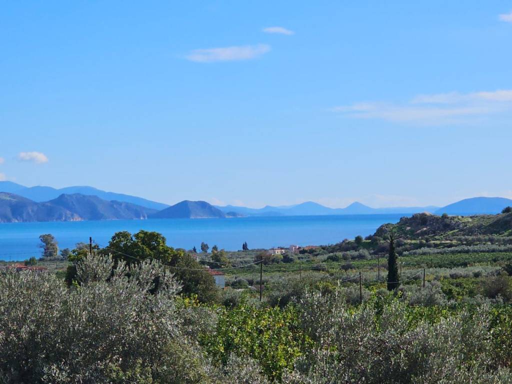 buildable plot of land of 200 acres