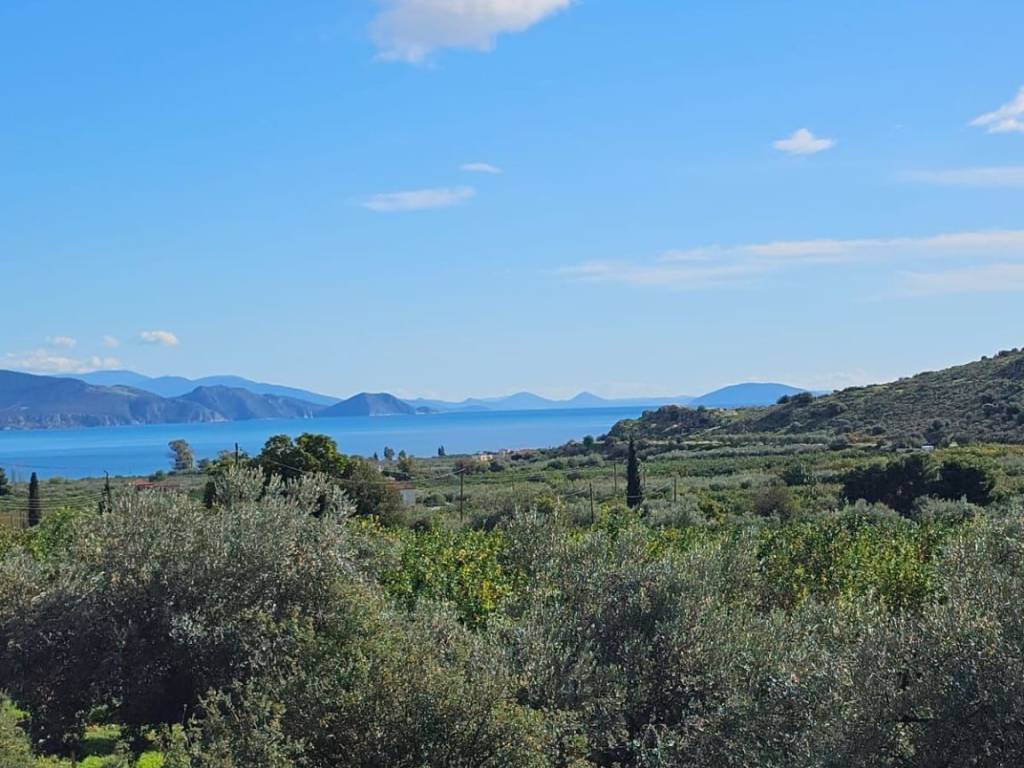 buildable plot of land of 200 acres