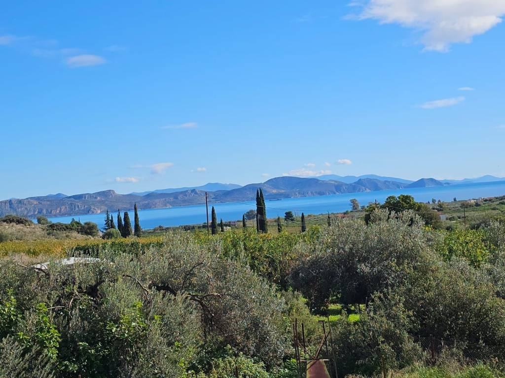 buildable plot of land of 200 acres