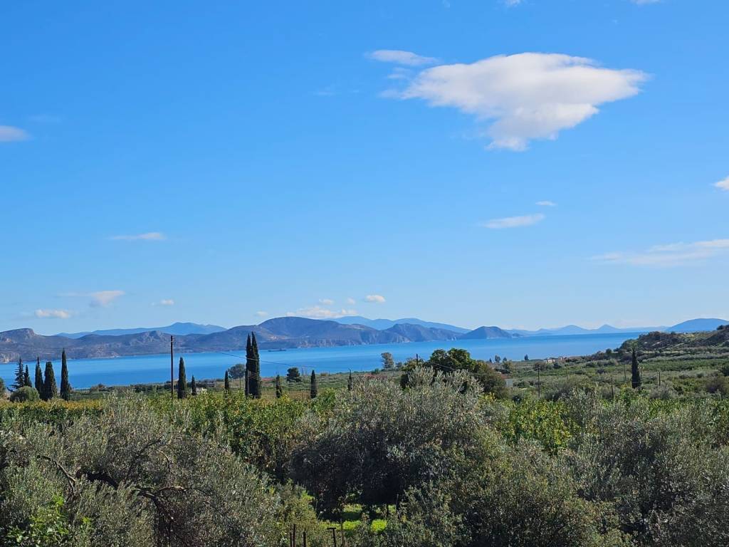 buildable plot of land of 200 acres