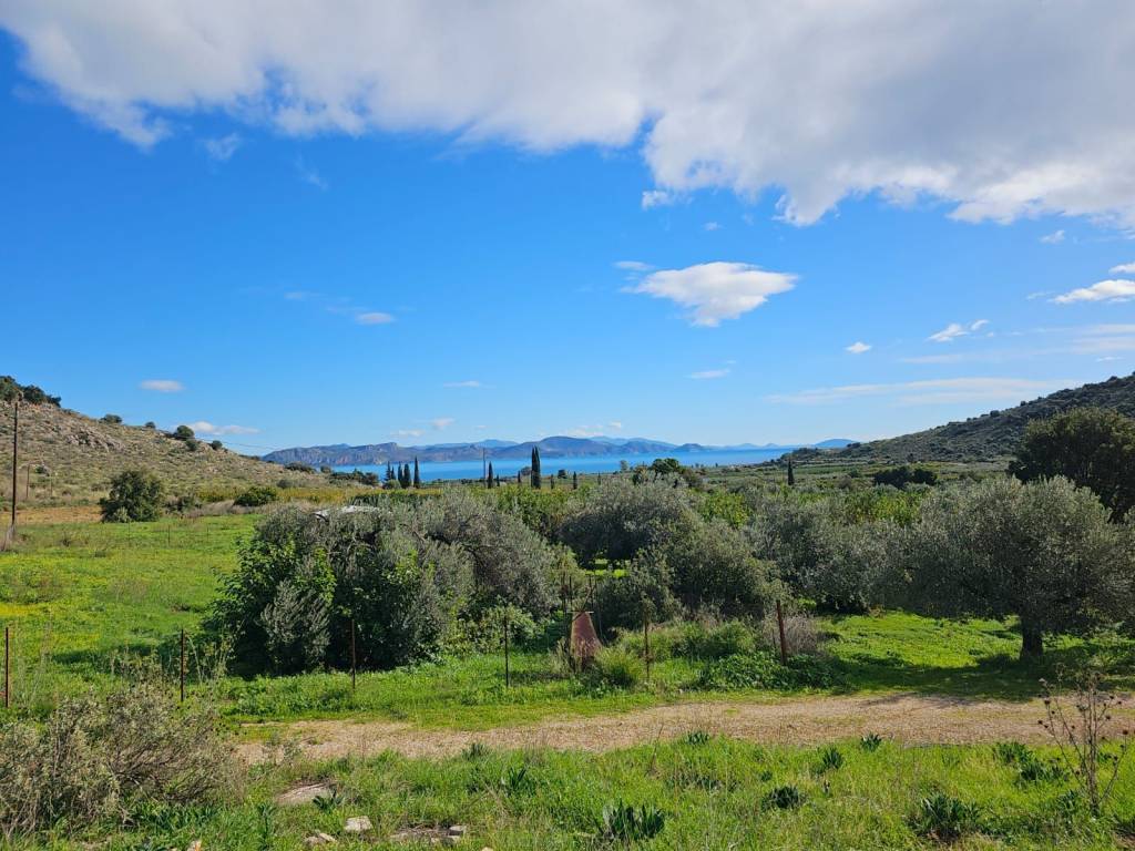 buildable plot of land of 200 acres