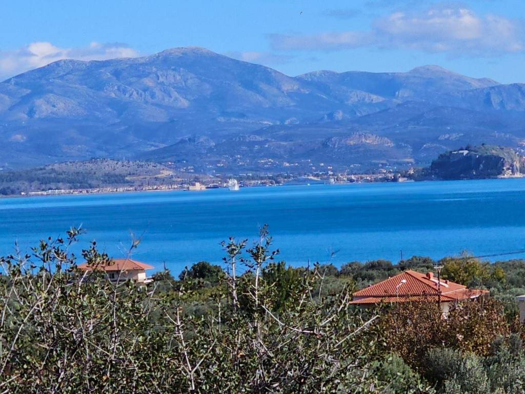 buildable plot of land with a total area of 5,200 sq.m.,