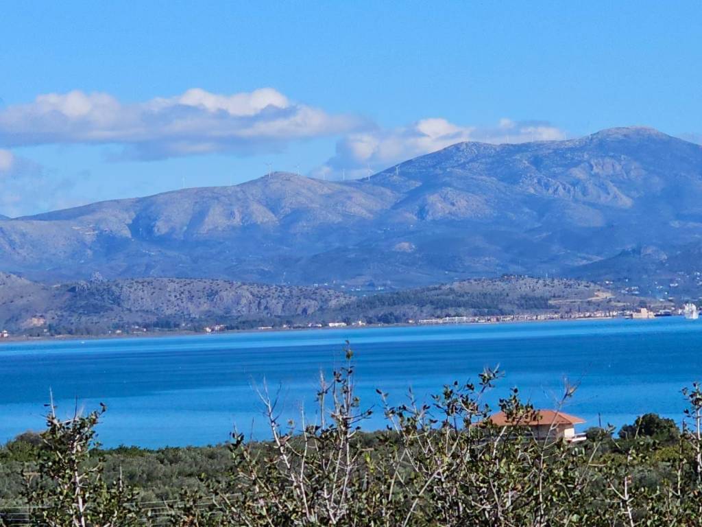 buildable plot of land with a total area of 5,200 sq.m.,