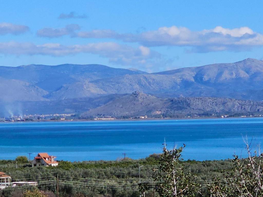 buildable plot of land with a total area of 5,200 sq.m.,